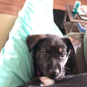 Meet your Posher, Tayla